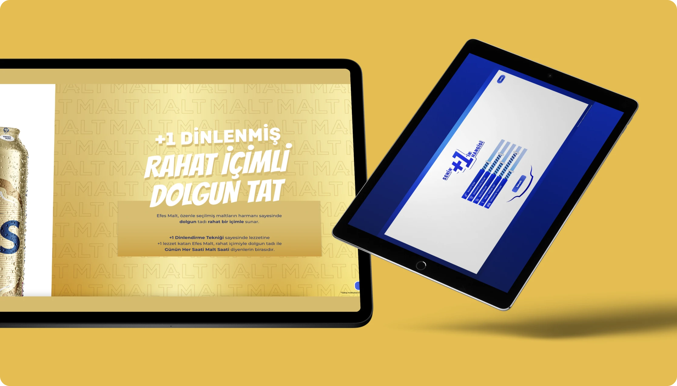 Anadolu Efes Project Image