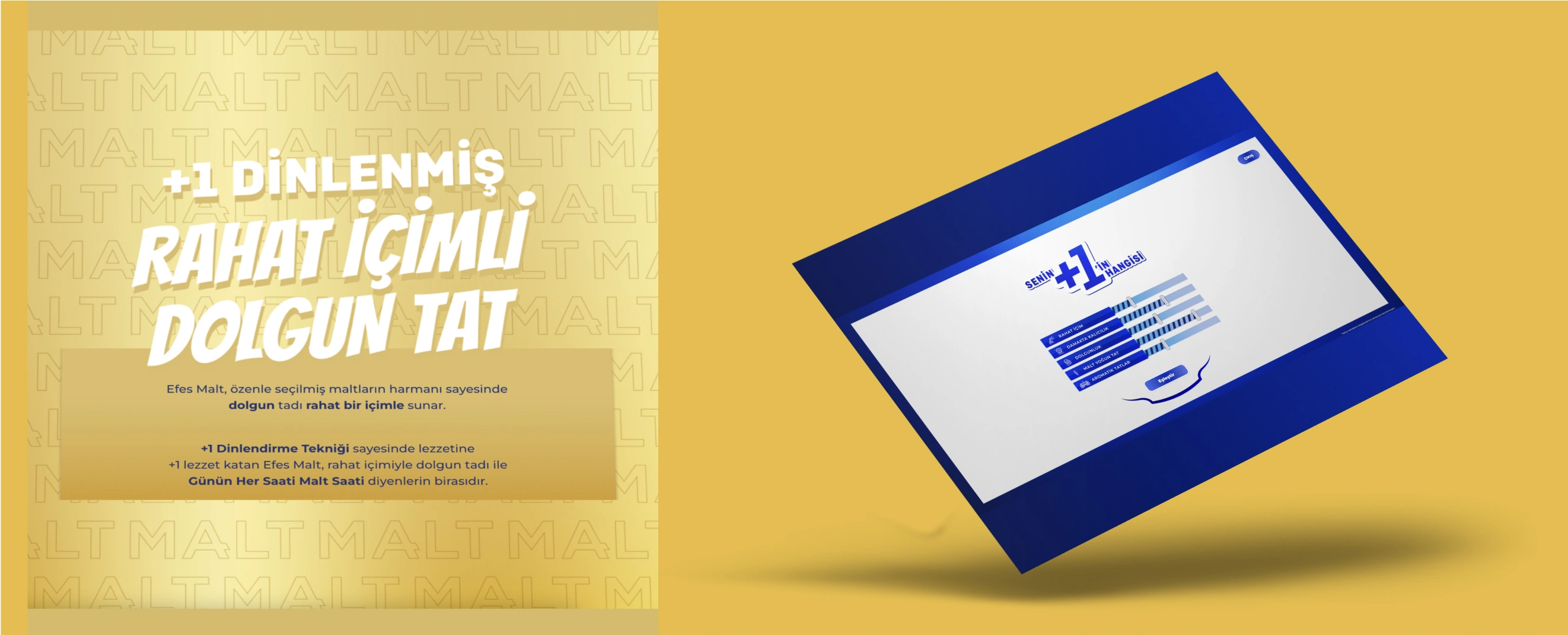Anadolu Efes Advergame Interface